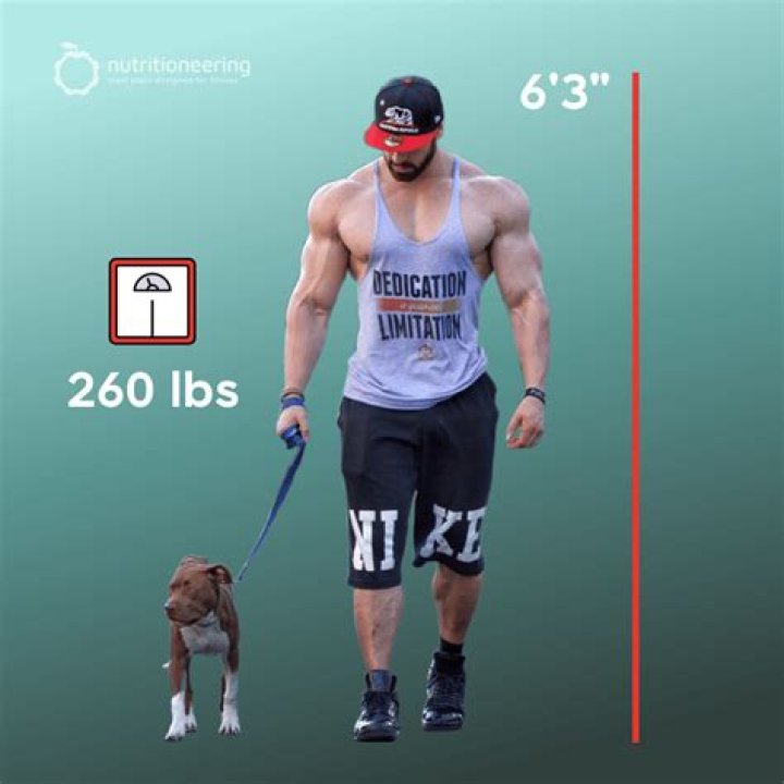 Bradley Martin Height Measurement: A Comprehensive Guide