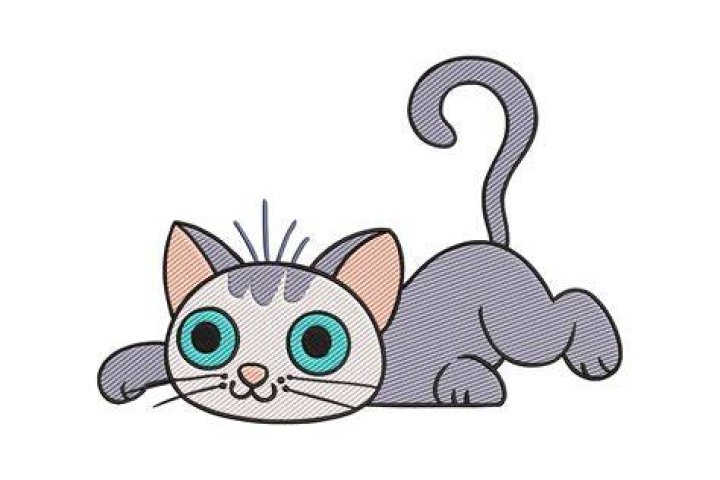 Cute And Playful Gray Cats: The Perfect Wife For Your Home